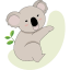 koala